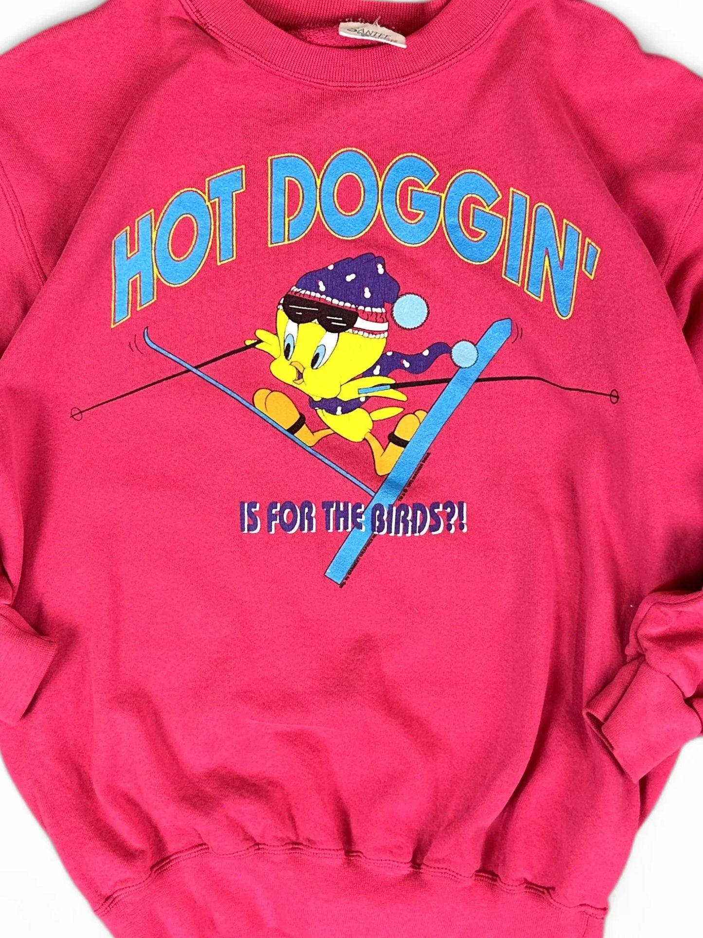 Vintage (90s) Tweety Bird Sweatshirt